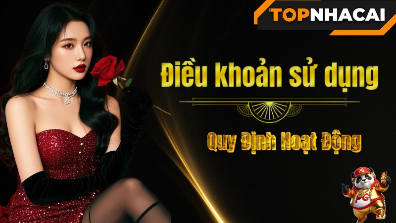 Điều Khoản Sử Dụng – Quy Định Hoạt Động | TopNhaCai.casino